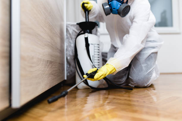 Best Wildlife Control Services  in St Marys, PA