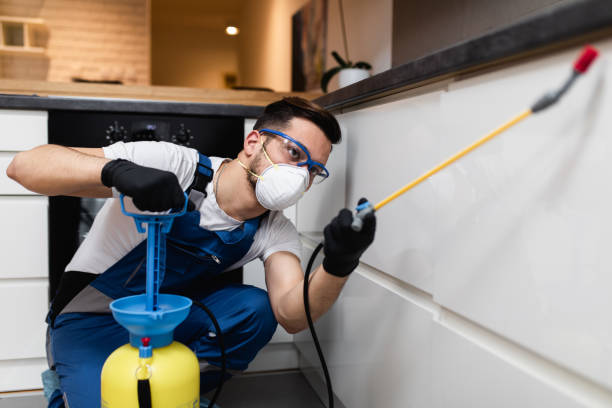 Best Emergency Pest Control  in St Marys, PA