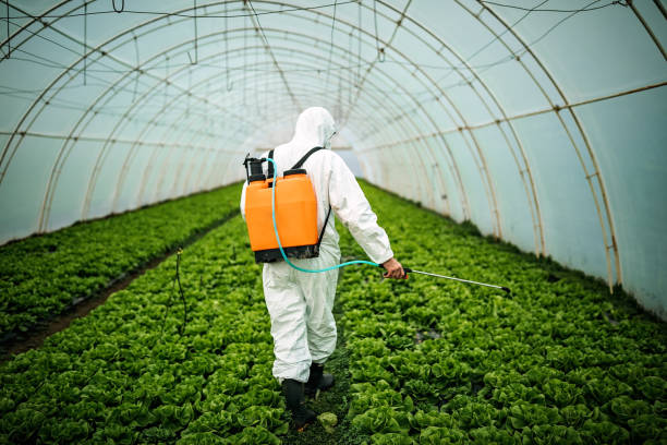 Best Pest Control Near Me  in St Marys, PA