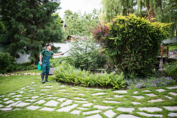 Best Exterminator Services  in St Marys, PA