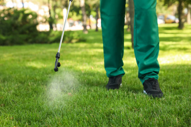 Best Flea Control Services  in St Marys, PA