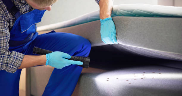 Best Best Pest Control Companies  in St Marys, PA