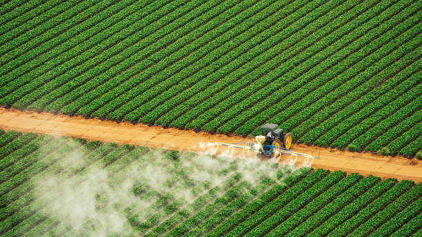 Best Pest Control Treatment  in St Marys, PA