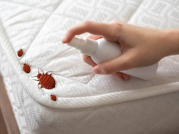 Best Best Pest Control Near Me  in St Marys, PA