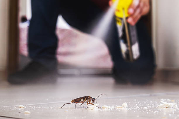 Best Commercial Pest Control Services  in St Marys, PA
