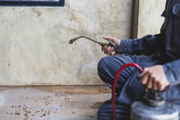 Best Pest Removal Services  in St Marys, PA